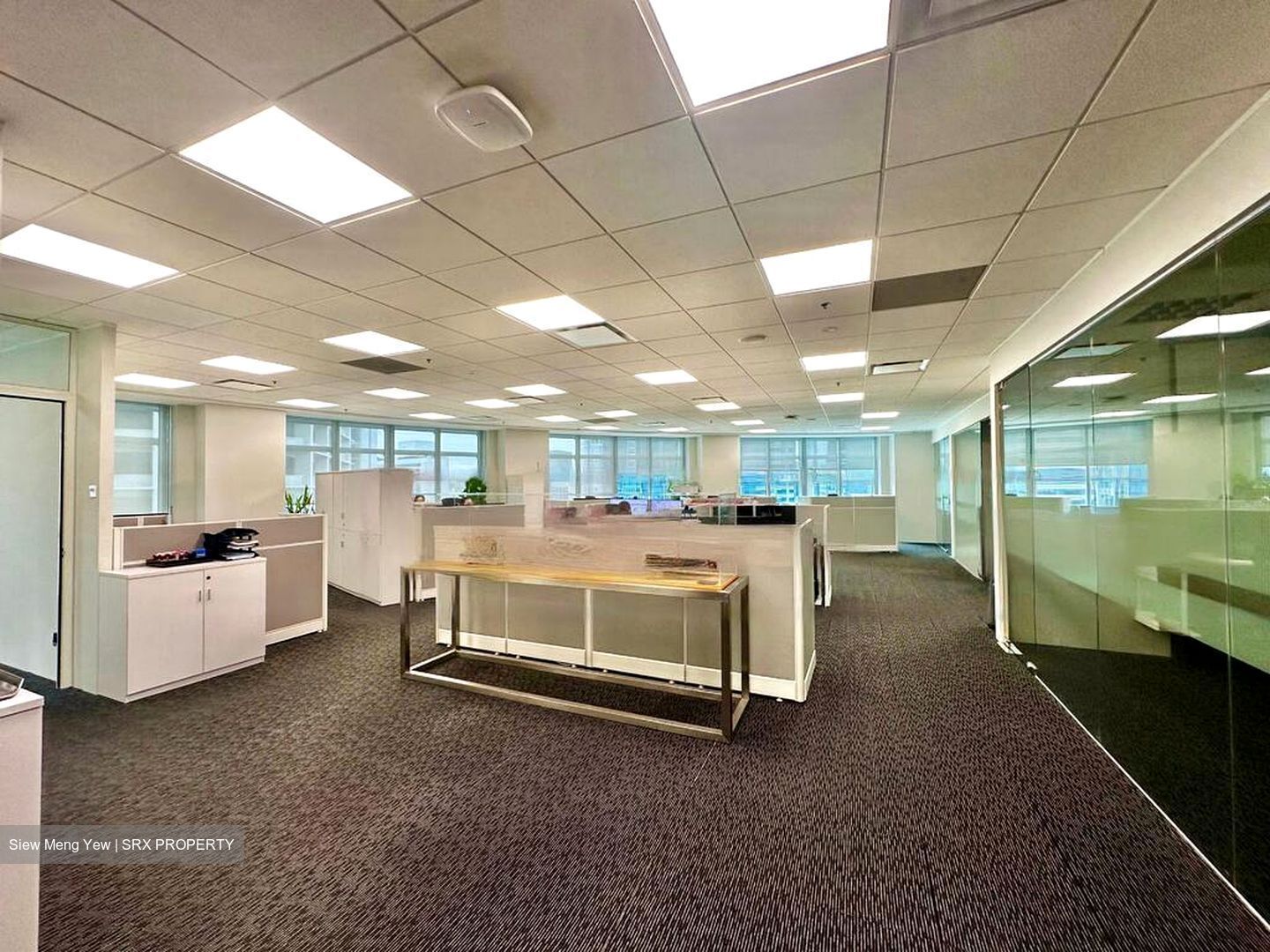 Springleaf Tower (D2), Office #478693091